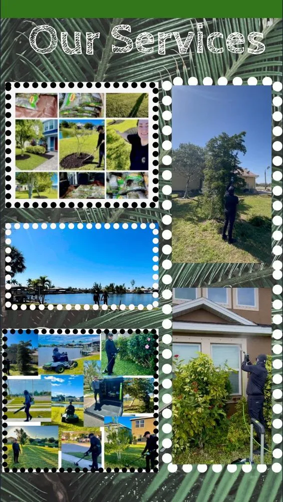 Reliable landscape installation for outdoor upgrades in Fort Myers, FL by GreenGo Services