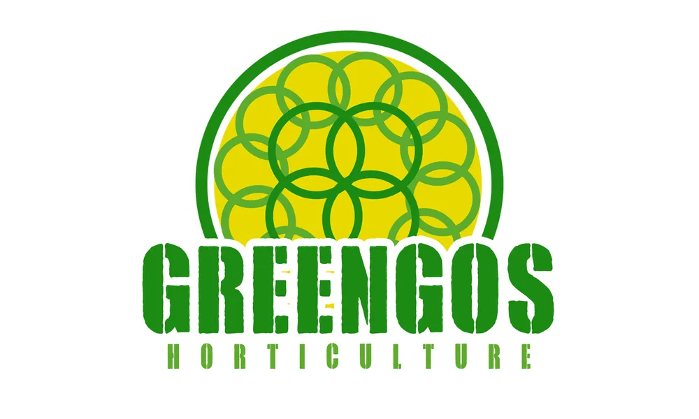 Expert yard cleanup service experts serving Selma, TX - Greengos Horticulture
