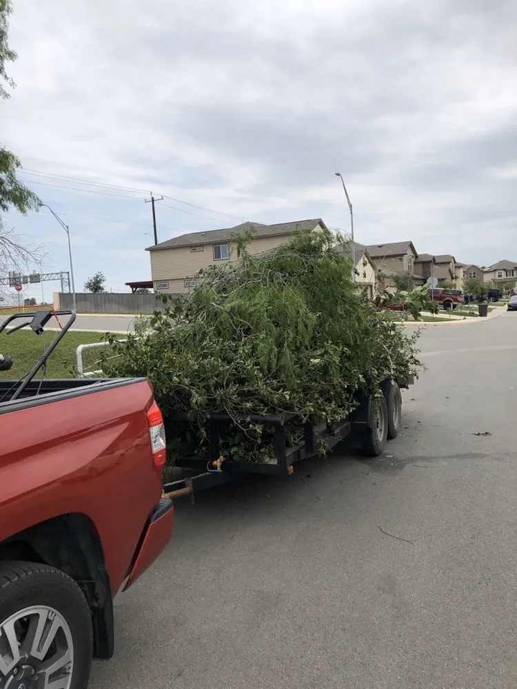 Top-rated lawn mowing service for residential properties across Selma, TX - Greengos Horticulture