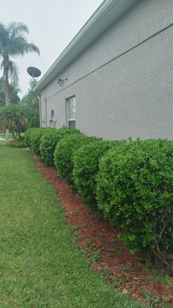 Expert landscape installation for residential properties across Clermont, FL - Greengrass landscaping