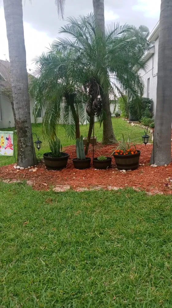 Affordable landscape design for homes in Clermont, FL by Greengrass landscaping