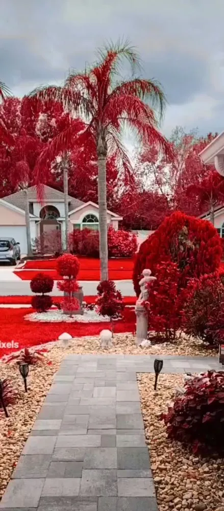 Affordable residential landscaping in Clermont, FL - Greengrass landscaping