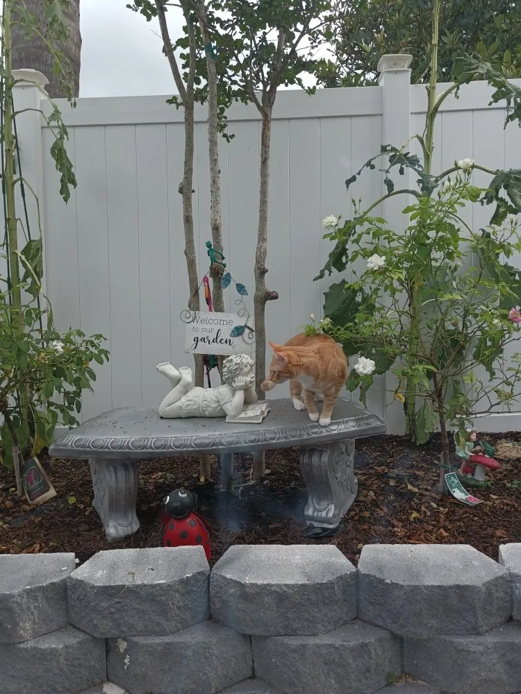 Custom residential landscaping for homes in Clermont, FL by Greengrass landscaping