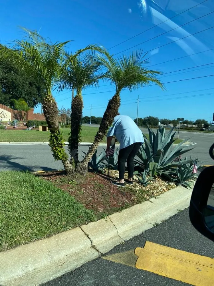 Expert garden landscaping for beautiful yards in Clermont, FL by Greengrass landscaping