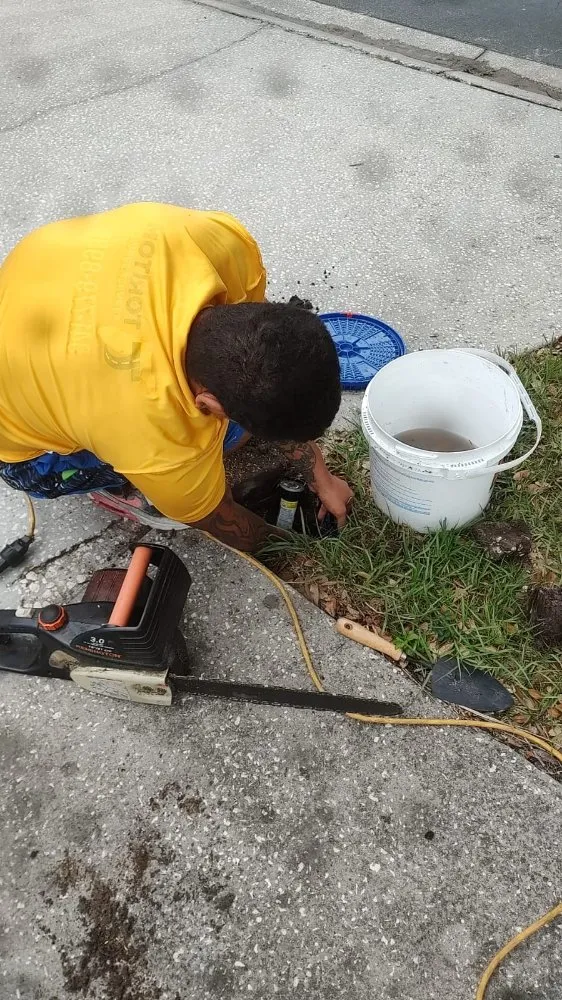 Expert residential landscaping for beautiful yards in Clermont, FL by Greengrass landscaping