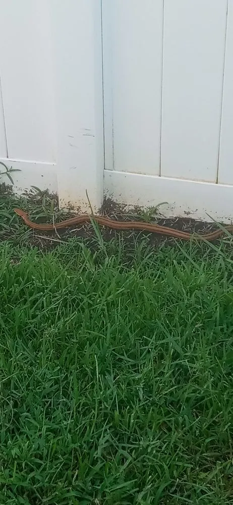 Custom garden landscaping for residential properties across Clermont, FL - Greengrass landscaping