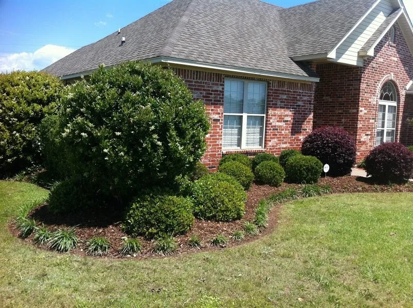 Reliable landscape installation experts serving Monroe, LA - GreenGrazz Landscape Services