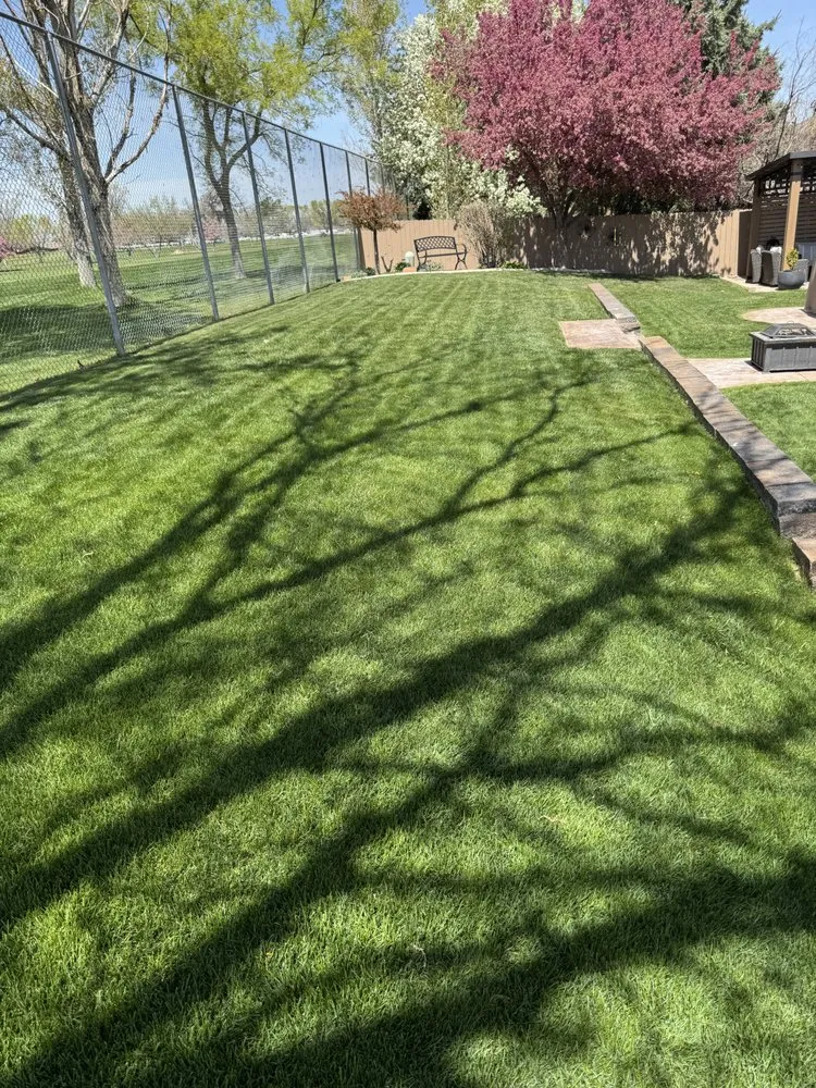 Affordable outdoor landscaping in Millcreek, UT by GreenGuard Lawn and Pest Solutions