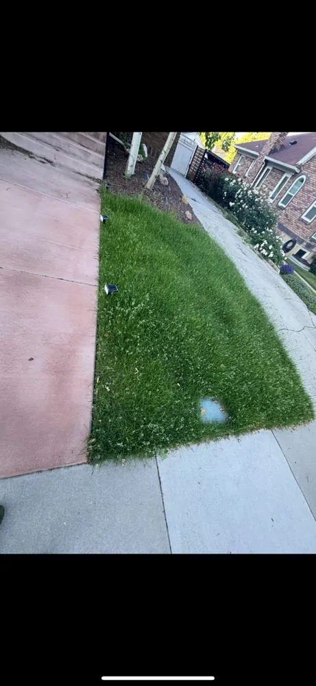 Affordable yard maintenance near you in Millcreek, UT by GreenGuard Lawn and Pest Solutions