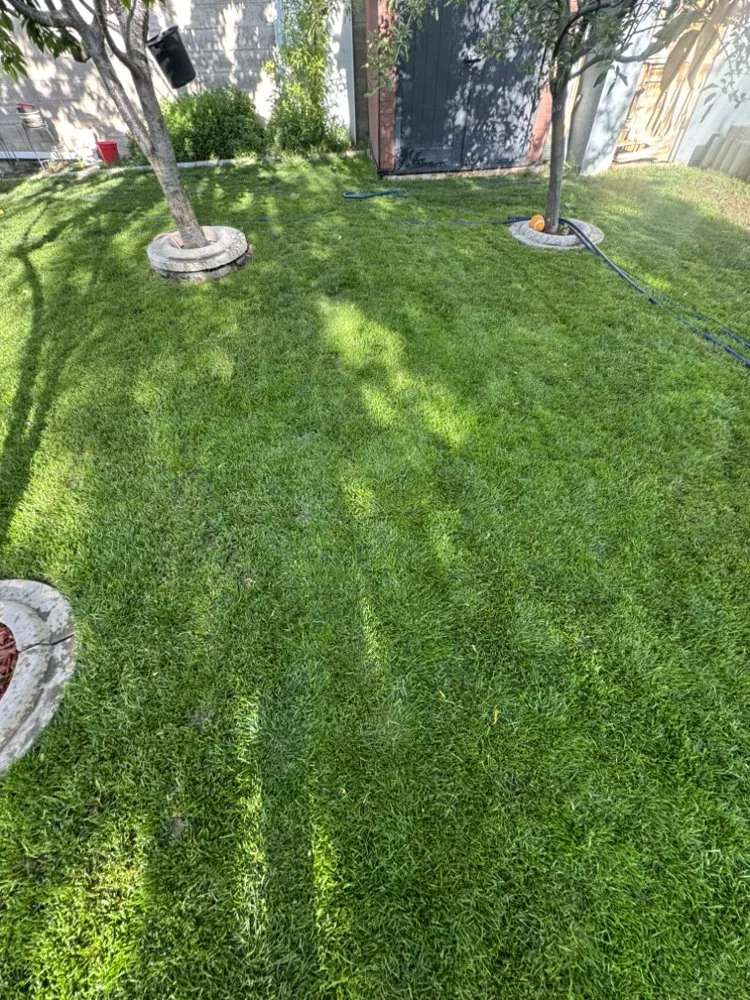 Affordable lawn mowing service for year-round maintenance in Millcreek, UT by GreenGuard Lawn and Pest Solutions