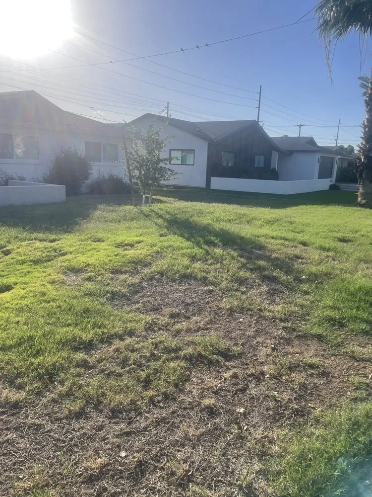 Reliable outdoor landscaping in Phoenix, AZ by GreenGuard