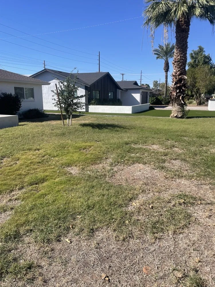 Top-rated landscaping services for homes across Phoenix, AZ - GreenGuard