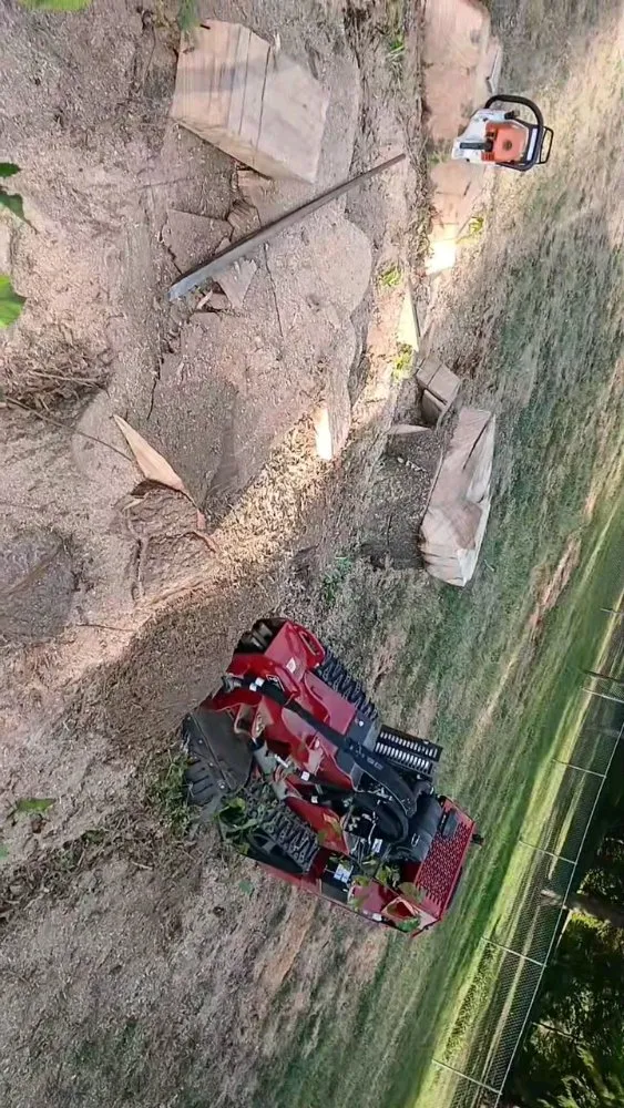 Top-rated garden landscaping for outdoor upgrades across Highland, IL - GreenGuys Landscaping