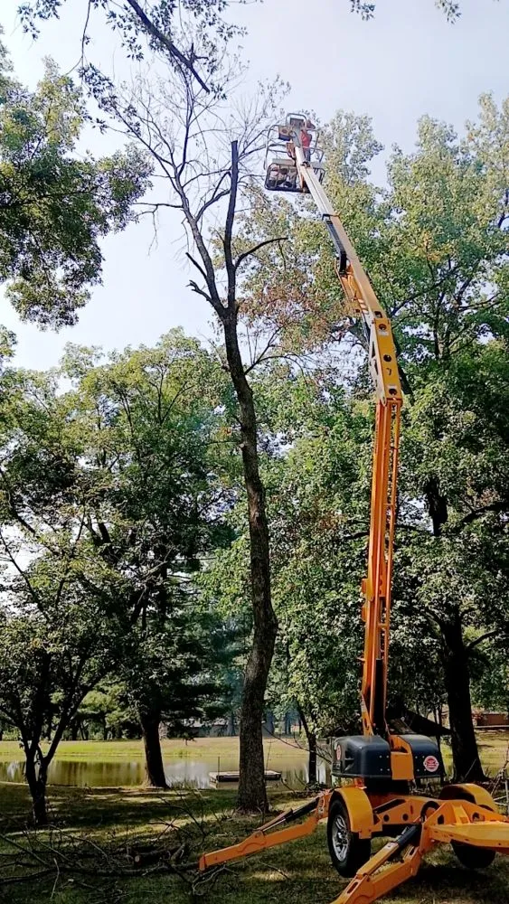 Expert landscape installation in Highland, IL by GreenGuys Landscaping