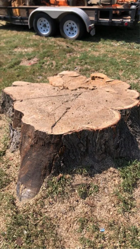 Reliable landscape design near you in Highland, IL by GreenGuys Landscaping