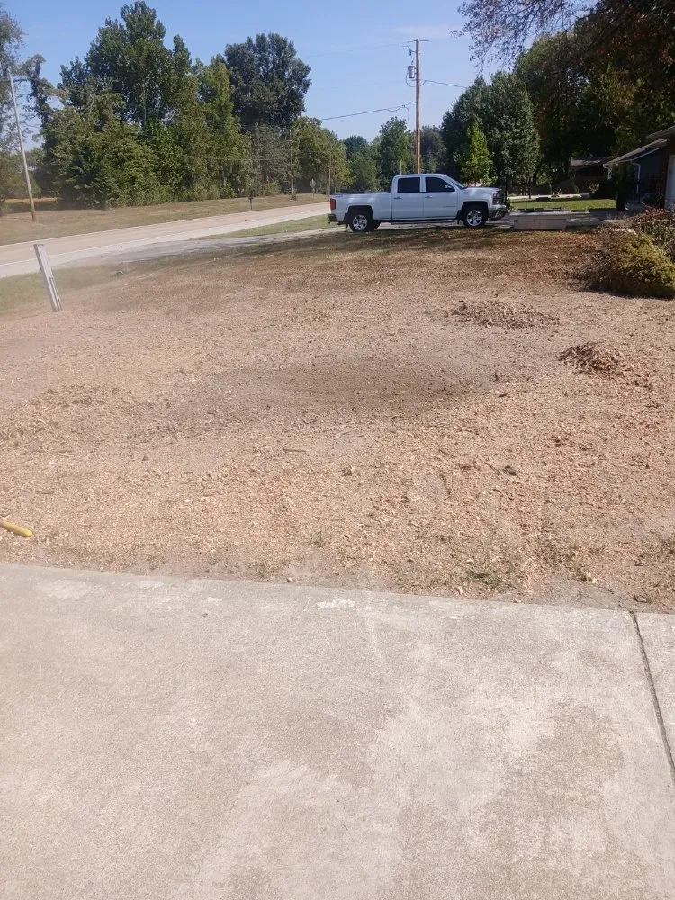 Local yard cleanup service in Highland, IL - GreenGuys Landscaping