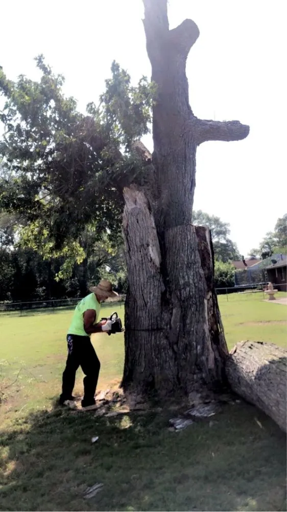 Affordable landscape installation experts serving Highland, IL - GreenGuys Landscaping