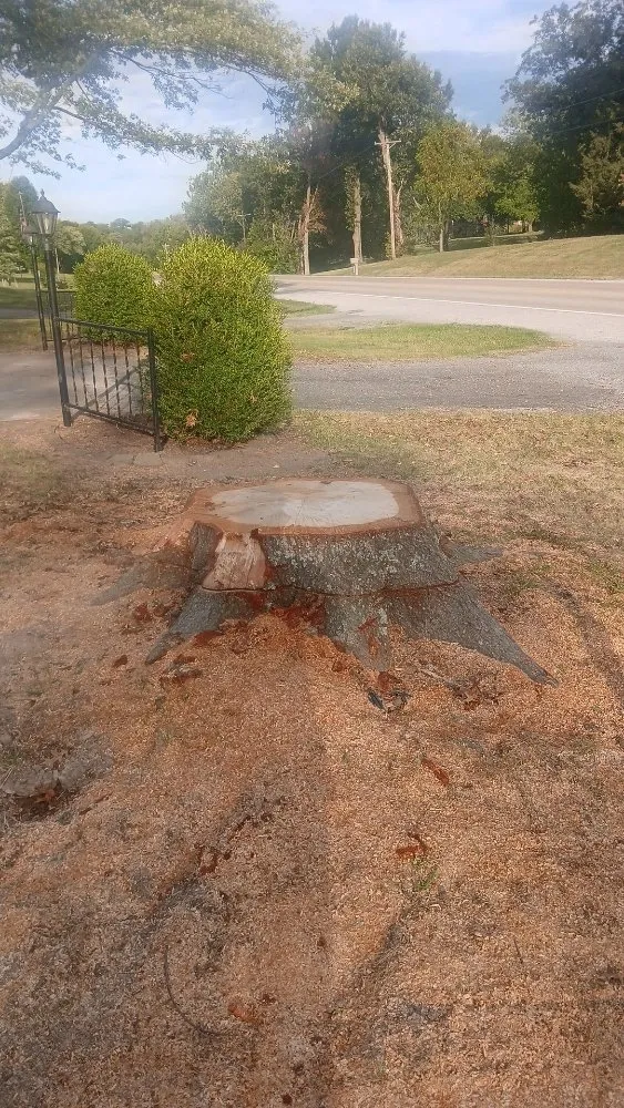 Professional landscaping services near you in Highland, IL by GreenGuys Landscaping