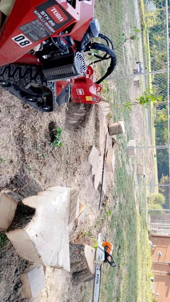 Custom landscaping services for year-round maintenance across Highland, IL - GreenGuys Landscaping