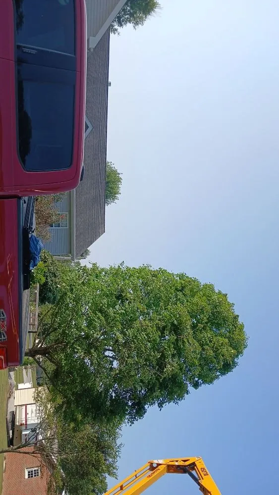 Custom garden landscaping with custom design in Highland, IL by GreenGuys Landscaping