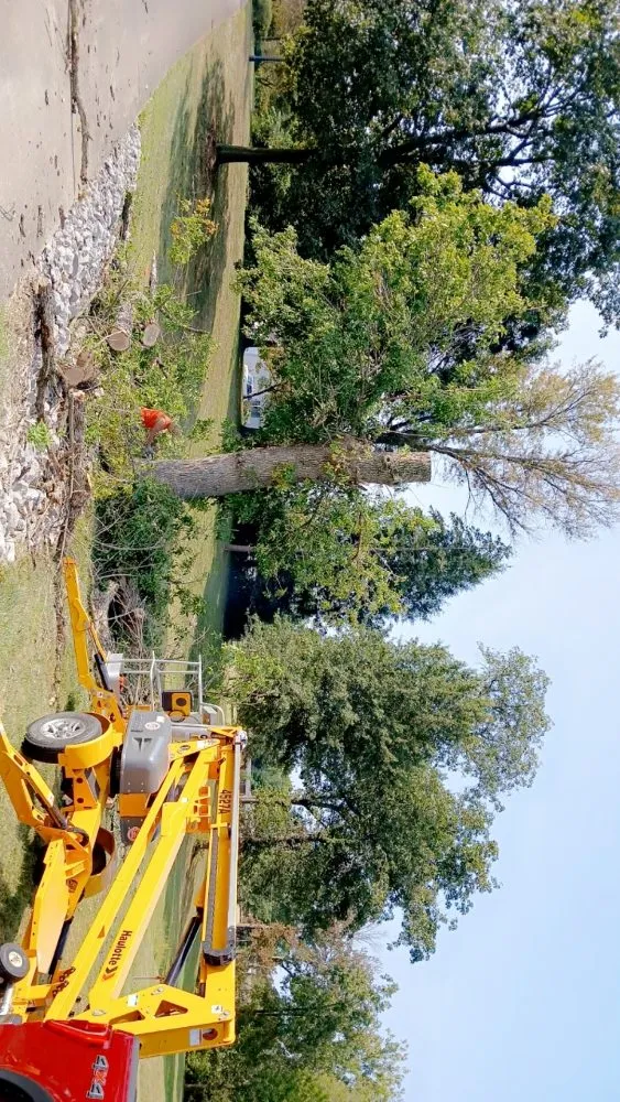 Reliable lawn care service in Highland, IL - GreenGuys Landscaping