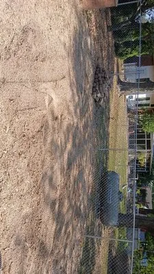 GreenGuys Landscaping