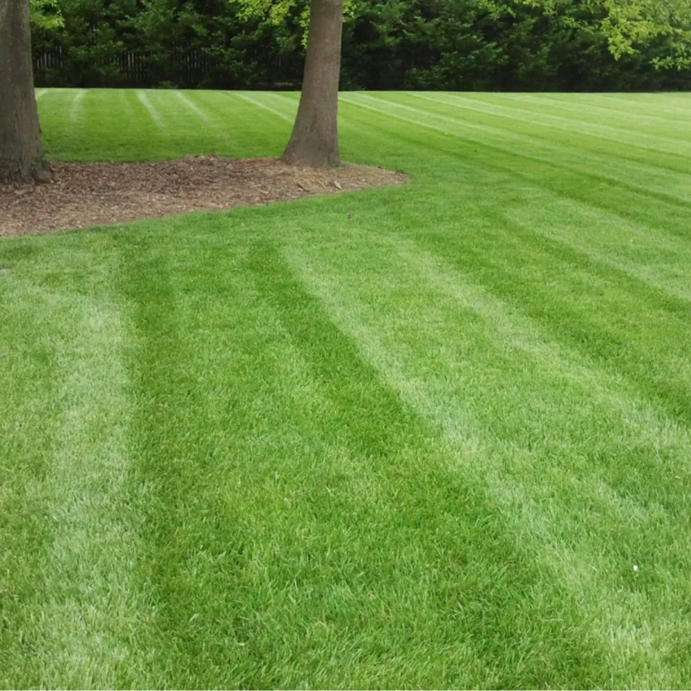Reliable lawn care service experts serving Lebanon, TN - Greenhand Landscaping