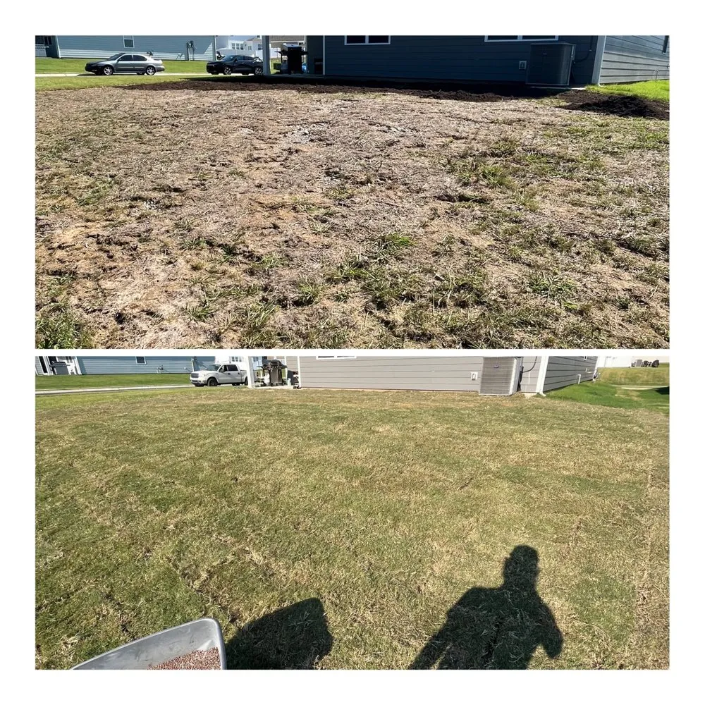 Reliable yard cleanup service for year-round maintenance in Lebanon, TN by Greenhand Landscaping