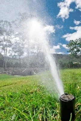 Affordable lawn care service near you across DeFuniak Springs, FL - GreenHappens