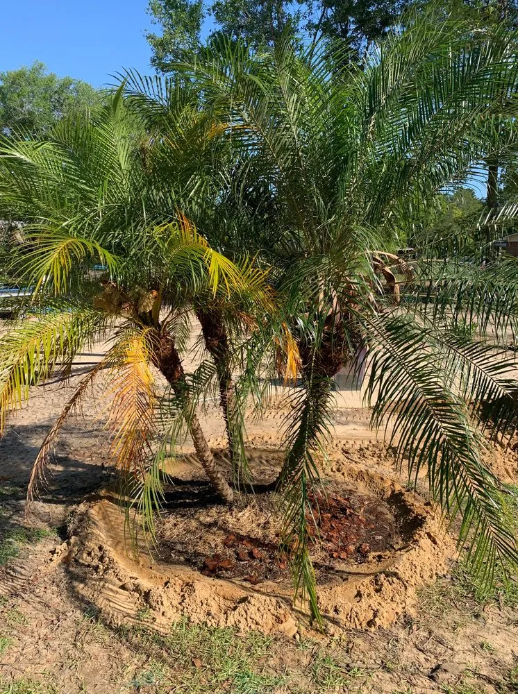 Top-rated yard cleanup service in DeFuniak Springs, FL - GreenHappens