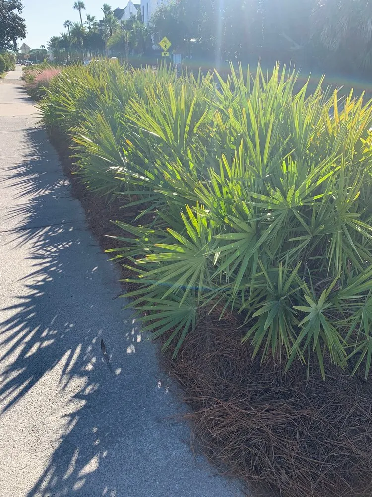 Top-rated residential landscaping in DeFuniak Springs, FL - GreenHappens