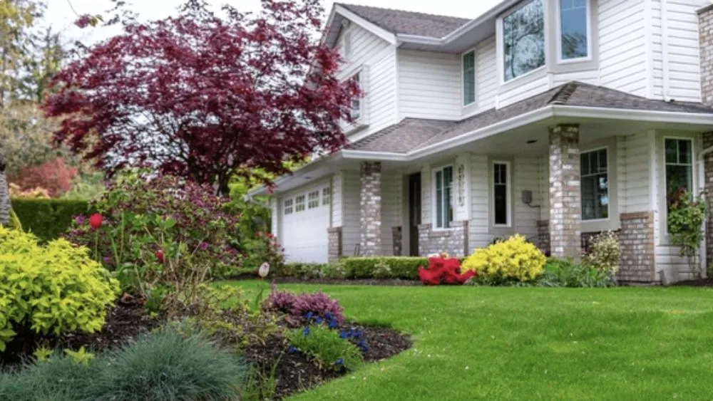 Affordable outdoor landscaping in Modesto, CA - Greenhaven Fencing & Landscaping