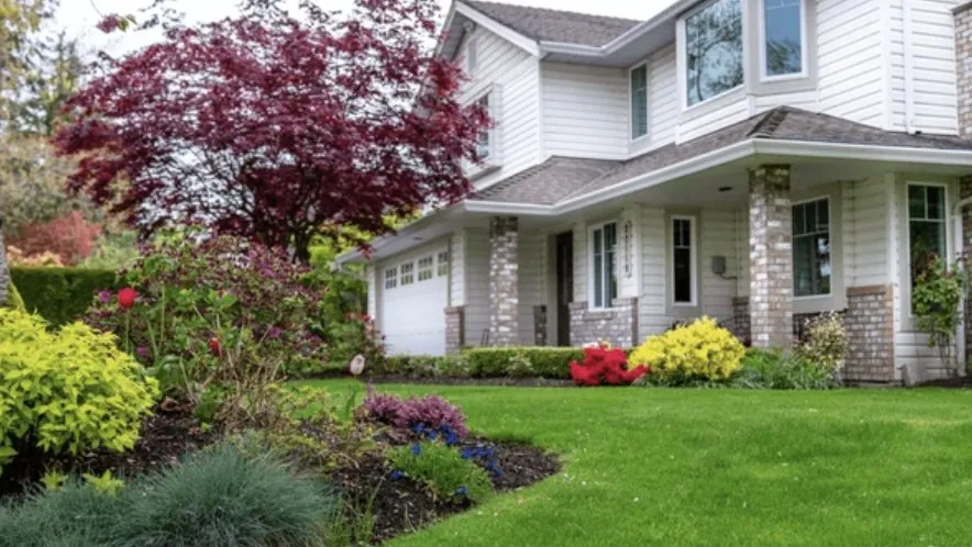 Trusted yard cleanup service in Modesto, CA - Greenhaven Fencing & Landscaping