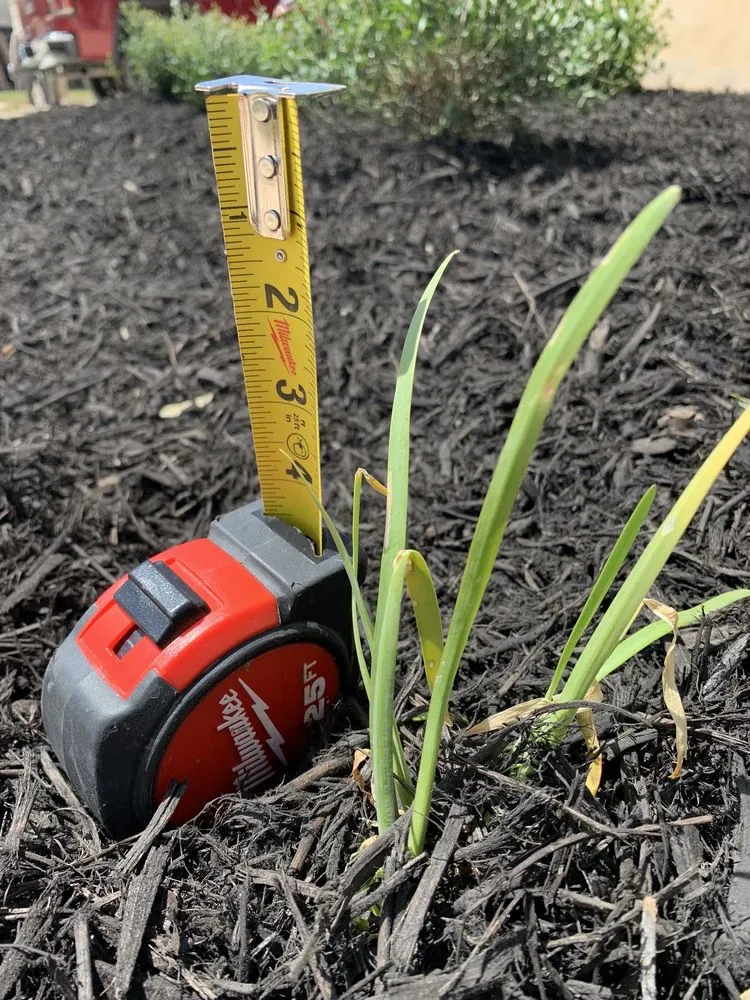 Reliable lawn care service experts serving New Braunfels, TX - Greenhaven Landscape & Irrigation