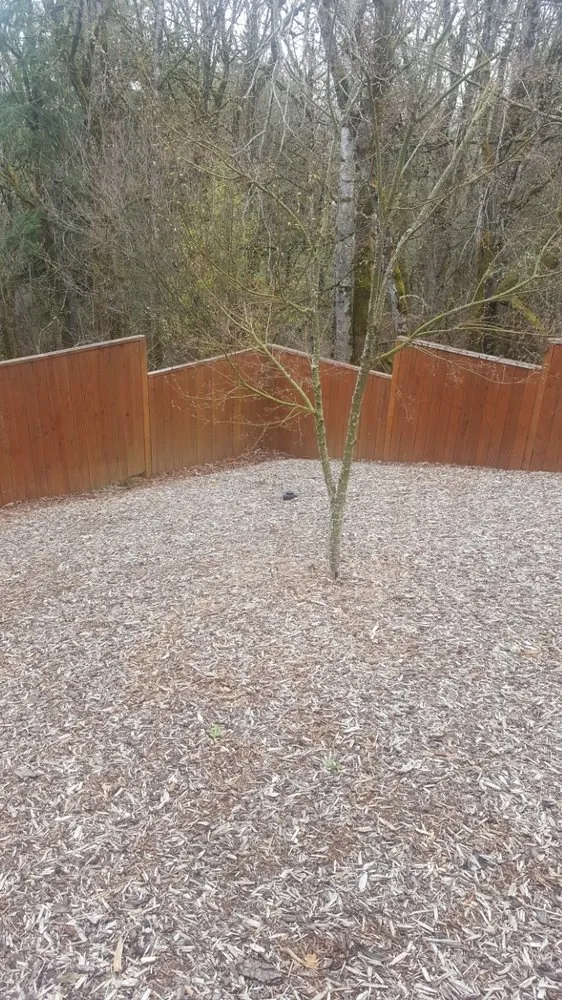 Affordable residential landscaping in Ridgefield, WA - Greenhaven Landscapes