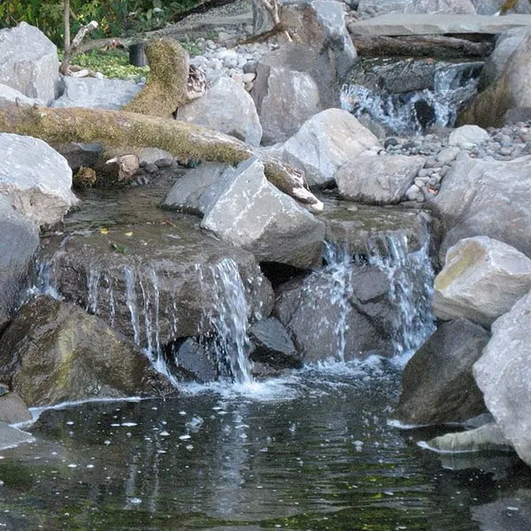 Professional residential landscaping in Ridgefield, WA by Greenhaven Landscapes