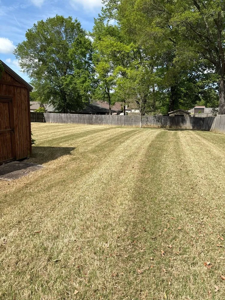 Affordable yard cleanup service experts serving Oakland, TN - Greenhaven Solutions