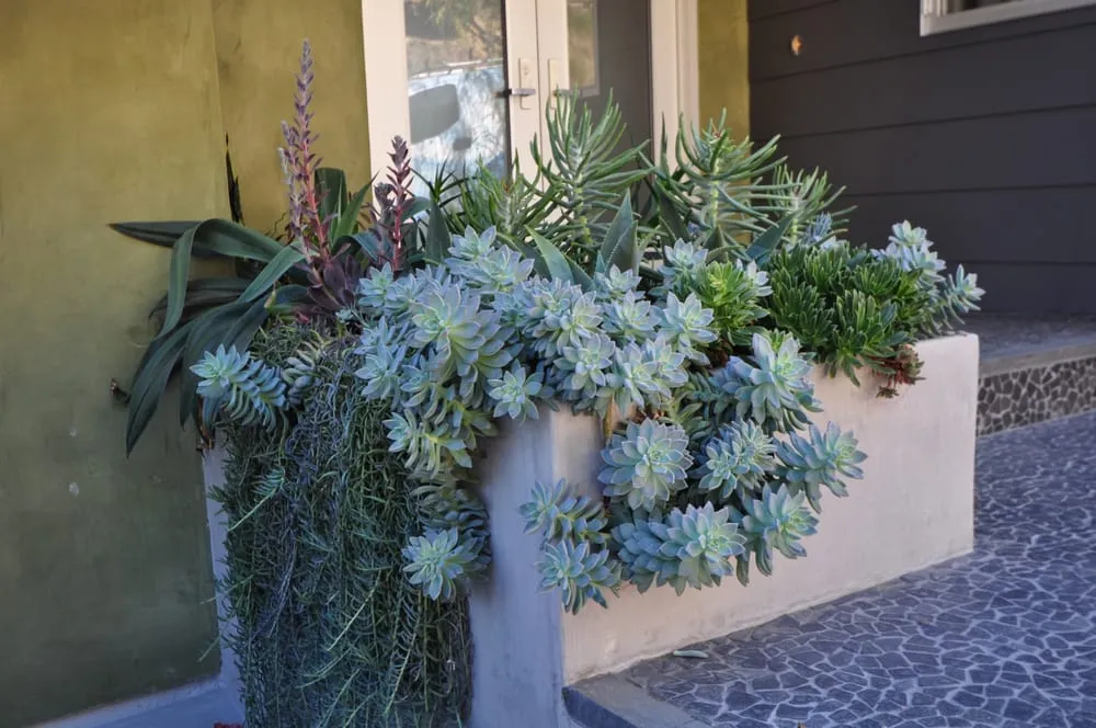 Affordable yard maintenance in El Dorado Hills, CA - Greenheart Landscaping