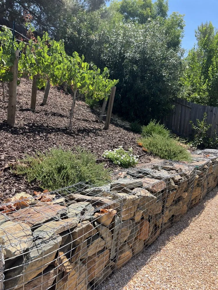 Professional yard cleanup service in San Clemente, CA - Greenheart Landscaping