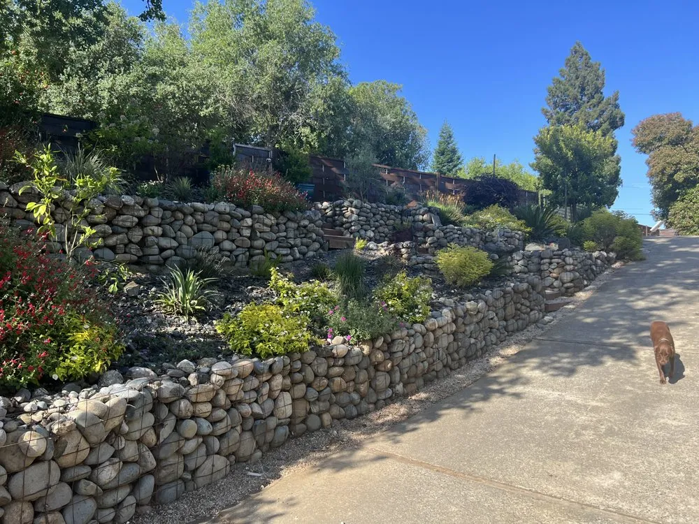 Custom outdoor landscaping in San Clemente, CA - Greenheart Landscaping