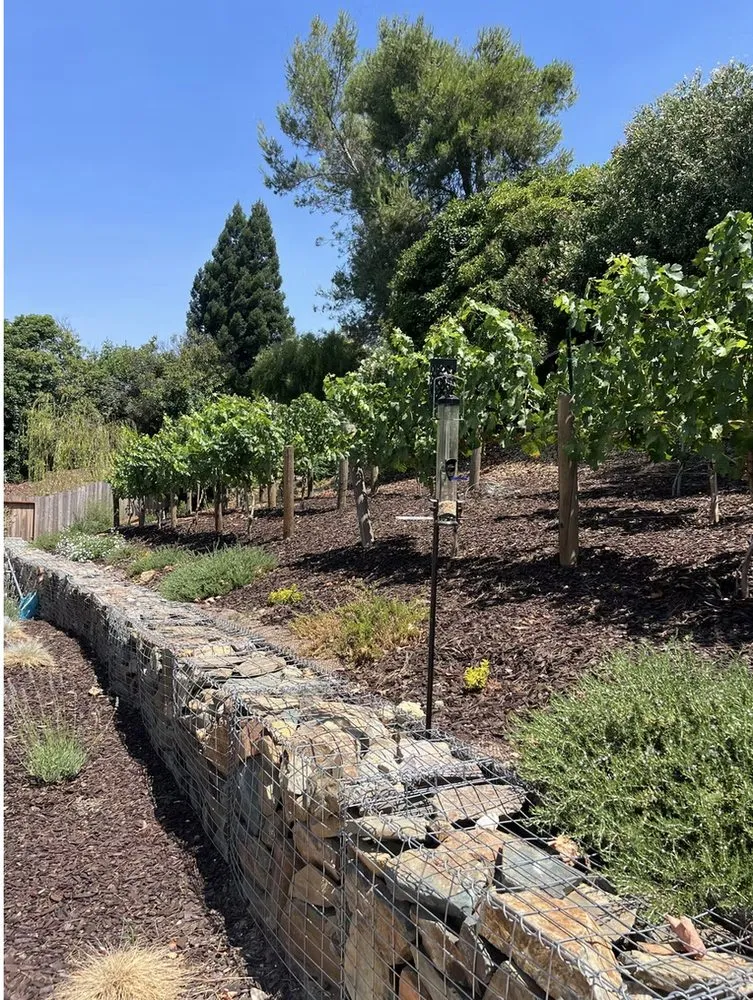 Affordable garden landscaping for homes across San Clemente, CA - Greenheart Landscaping