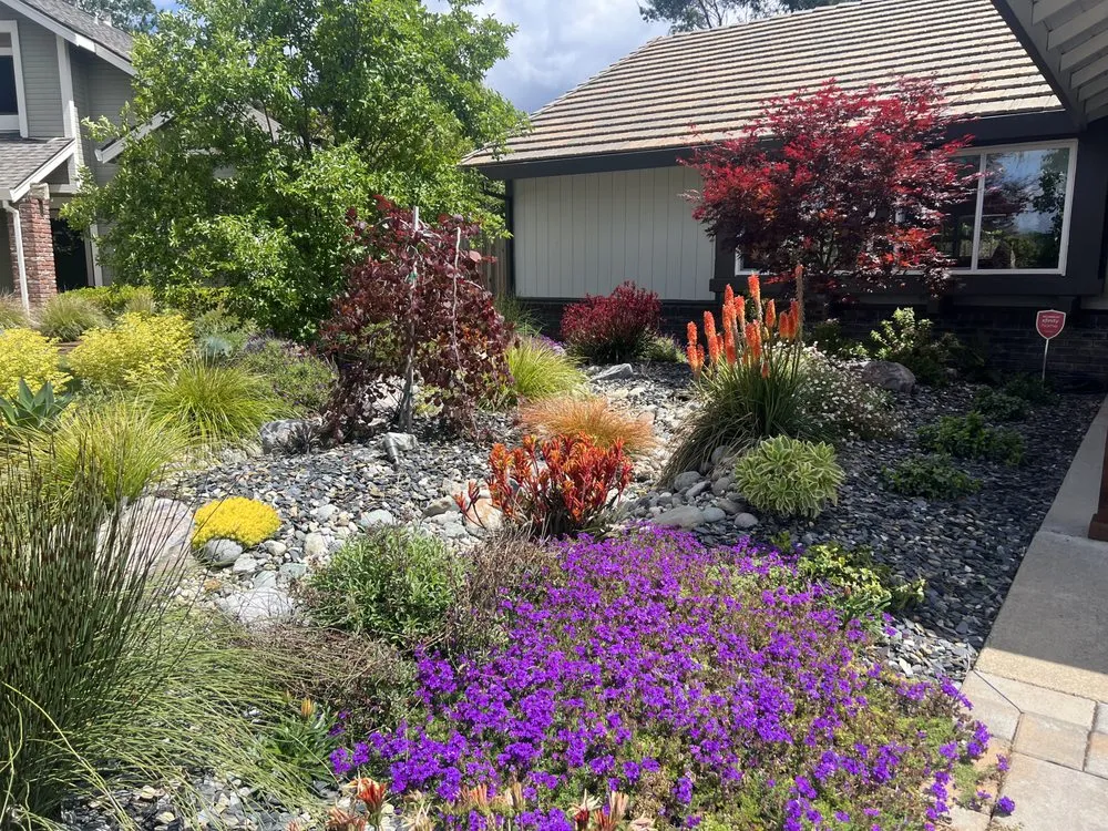 Custom landscape installation for outdoor upgrades across San Clemente, CA - Greenheart Landscaping