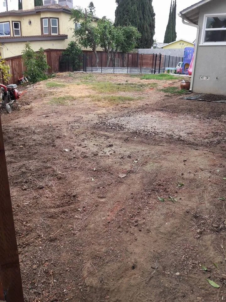 Local yard maintenance for outdoor upgrades across Whittier, CA - GreenHill Landscaping