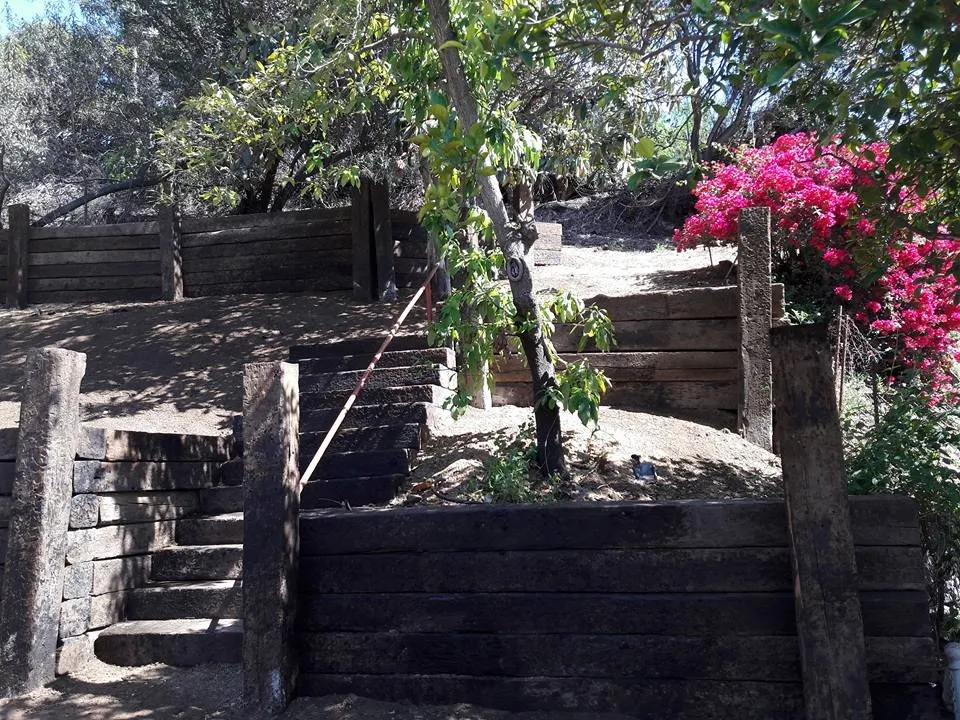 Top-rated yard cleanup service for residential properties in Whittier, CA by GreenHill Landscaping