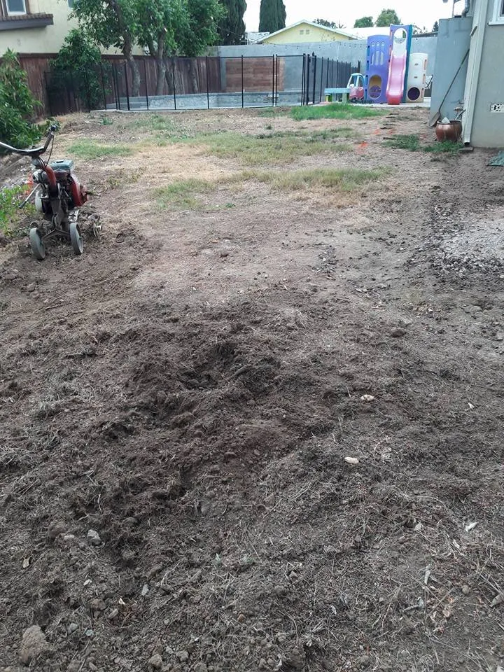 Affordable yard cleanup service for year-round maintenance in Whittier, CA by GreenHill Landscaping