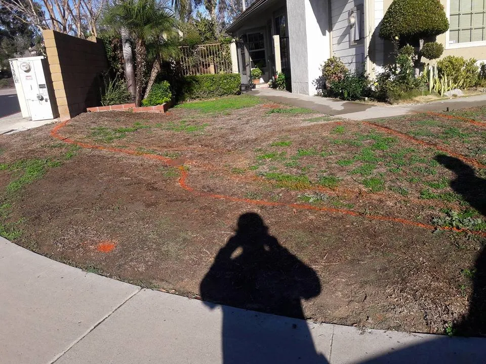 Reliable lawn care service for outdoor upgrades across Whittier, CA - GreenHill Landscaping