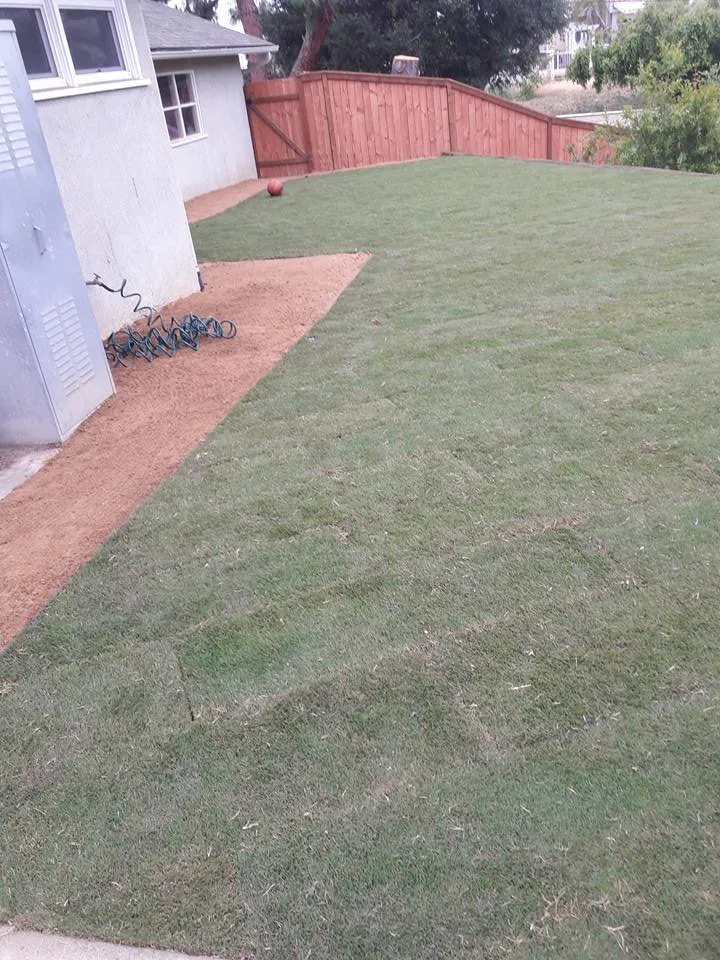 Professional lawn care service for beautiful yards in Whittier, CA by GreenHill Landscaping