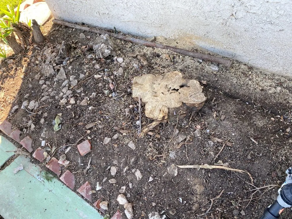 Local residential landscaping near you across Whittier, CA - GreenHill Landscaping