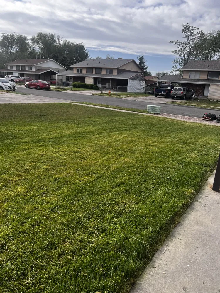 Reliable yard maintenance experts serving West Valley City, UT - GreenHood Services