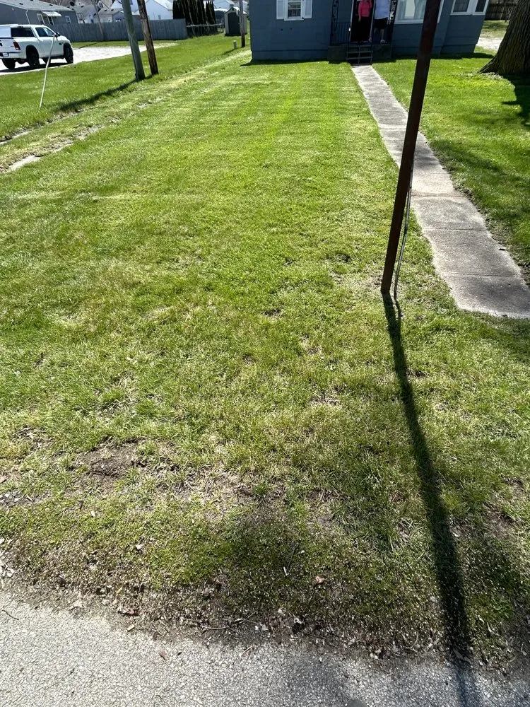 Local yard maintenance in Fort Wayne, IN - Greenhopper Lawn Care Service
